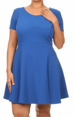 The Brooke Babydoll Dress -Selected Women's Clothing Store BLU P