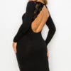 Womens Backless Lace Trim Midi Long Sleeve Dress -Selected Women's Clothing Store DRS340 BLK l