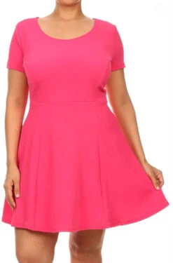 The Brooke Babydoll Dress -Selected Women's Clothing Store PNK P