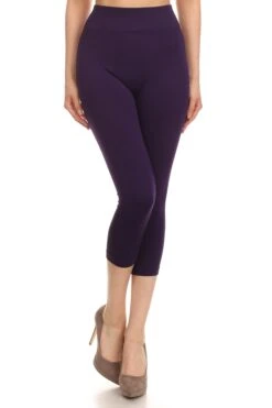 Wendy Seamless Capri Leggings -Selected Women's Clothing Store SML518SD PUR 2